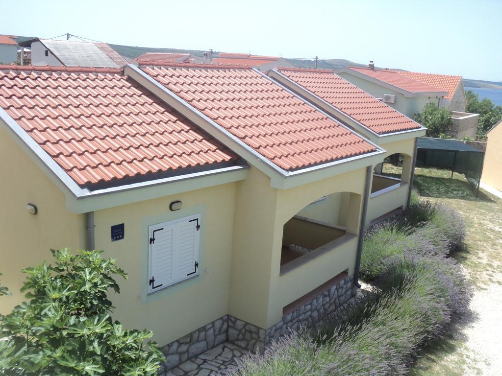 Apartments Mikecin Novigrad  Exterior photo